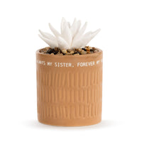 Succulent Oil Diffuser- My Sister