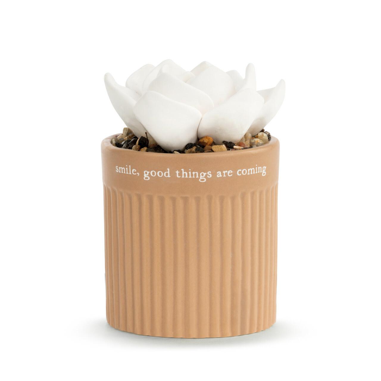 Succulent Oil Diffuser- Smile