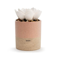 Succulent Oil Diffuser- XOXO