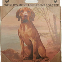 Vizsla Coaster Sq.