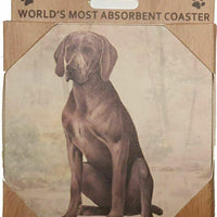 Weimeraner Coaster Sq.