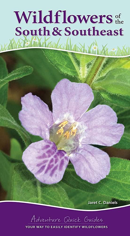 Wildflowers of South & Southeast Quick Guide