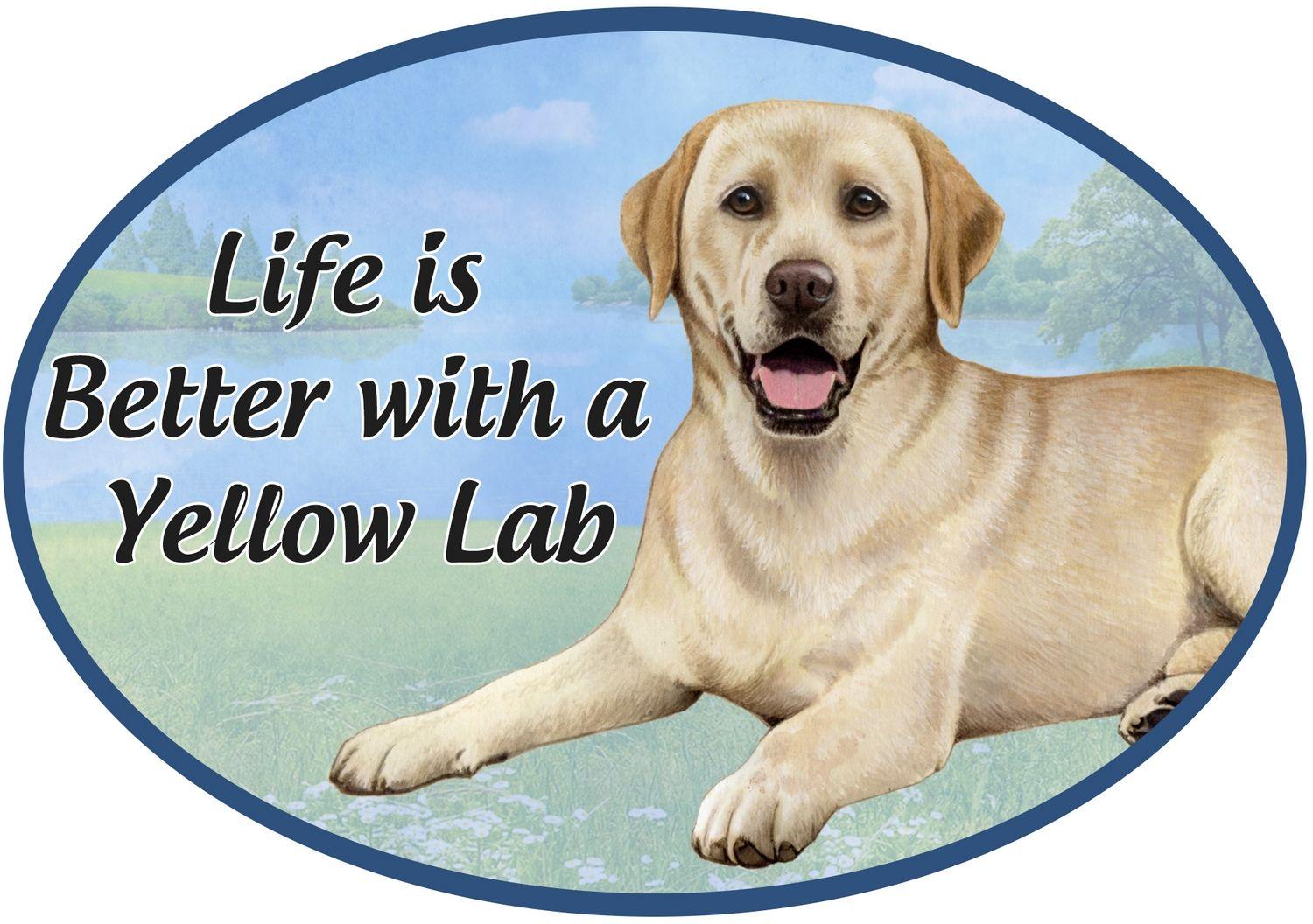 Yellow Lab Car Magnet