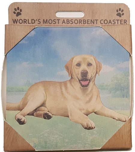 Yellow Lab Coaster Sq.