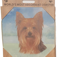 Yorkie Coaster Sq.