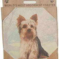 Yorkie Puppy Coaster Sq.