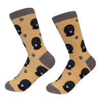 Labradoodle,Black Socks