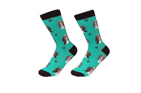 Beagle Socks