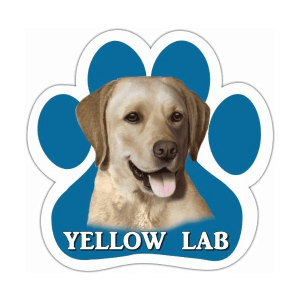 Labrador Yellow Magnet