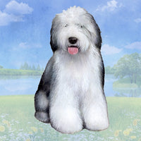 Old English Sheepdog Coaster