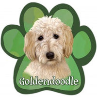Goldendoodle  Magnet