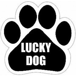 Lucky Dog Magnet