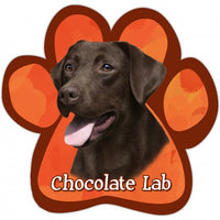 Labrador Chocolate Magnet