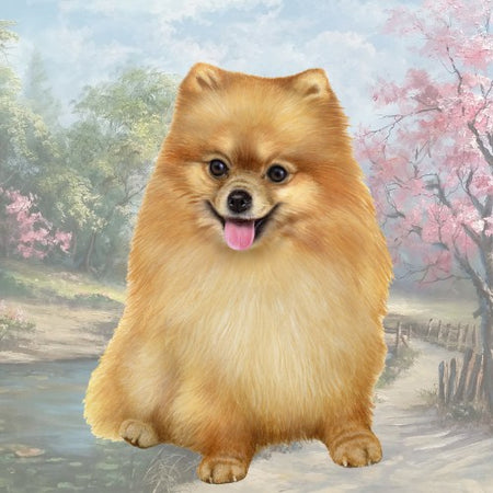 Pomeranian Coaster Sq.