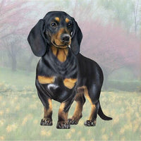 Dachshund Black Coaster Sq.