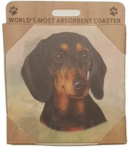 Dachshund Coaster Sq.