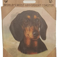 Dachshund Coaster Sq.