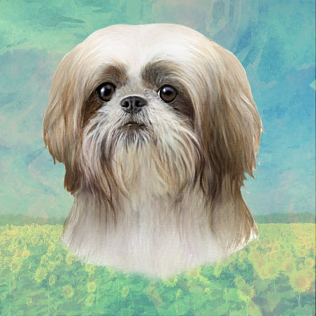 Shih Tzu Tan & White Coaster