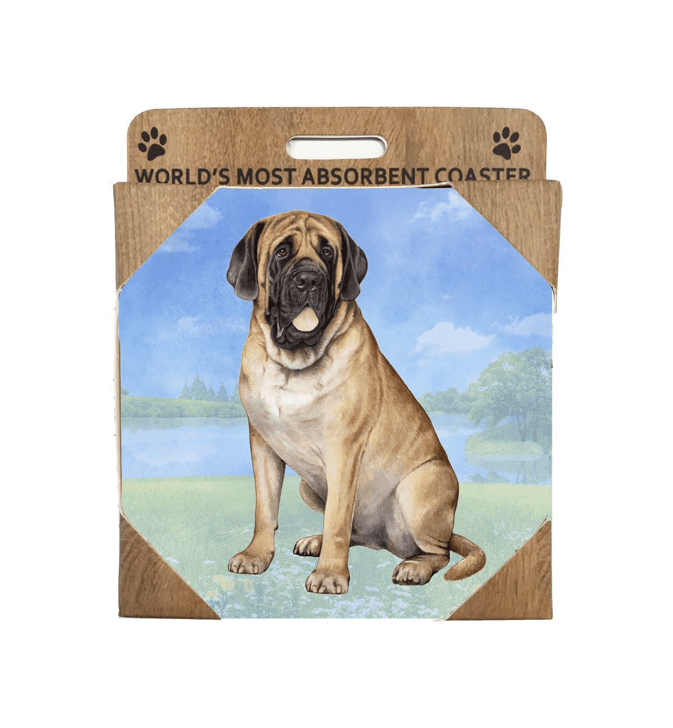 English Mastiff Coaster Sq.