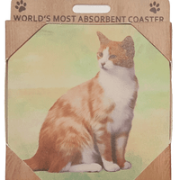 Orange & White Coaster Sq.