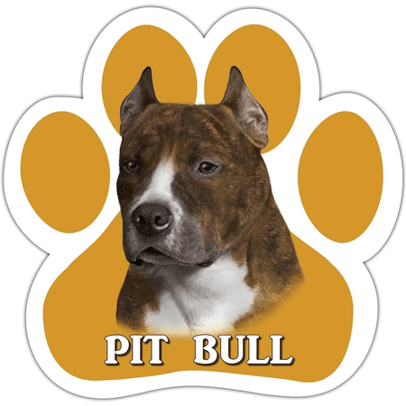 Pit Bull Magnet