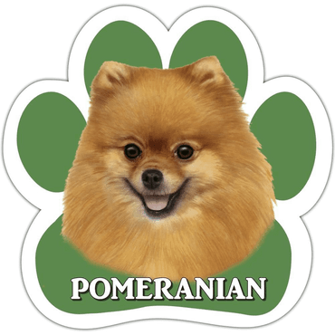 Pomeranian Dog Magnet
