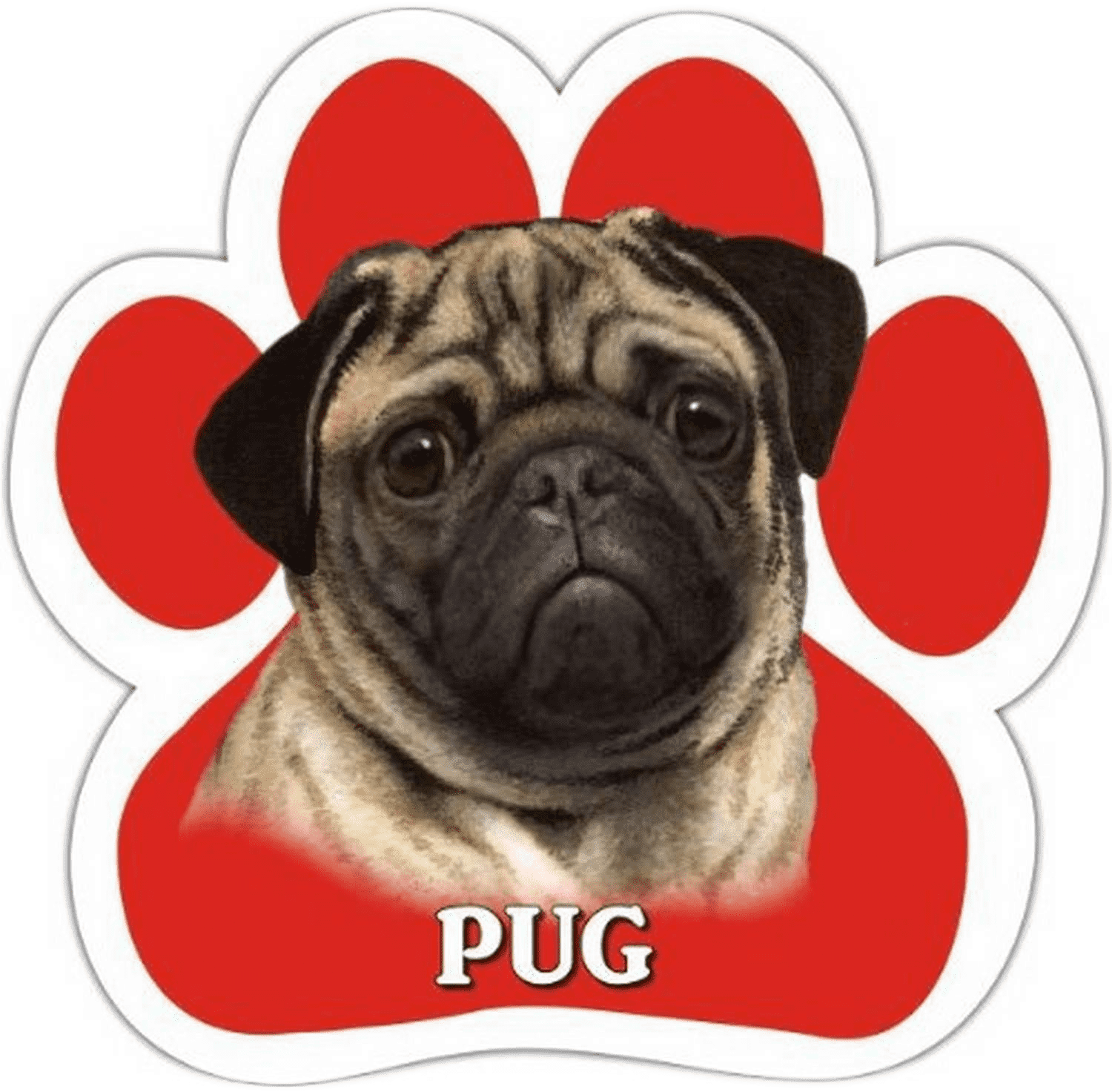 Pug Magnet
