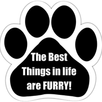 The Best Things In Life Magnet