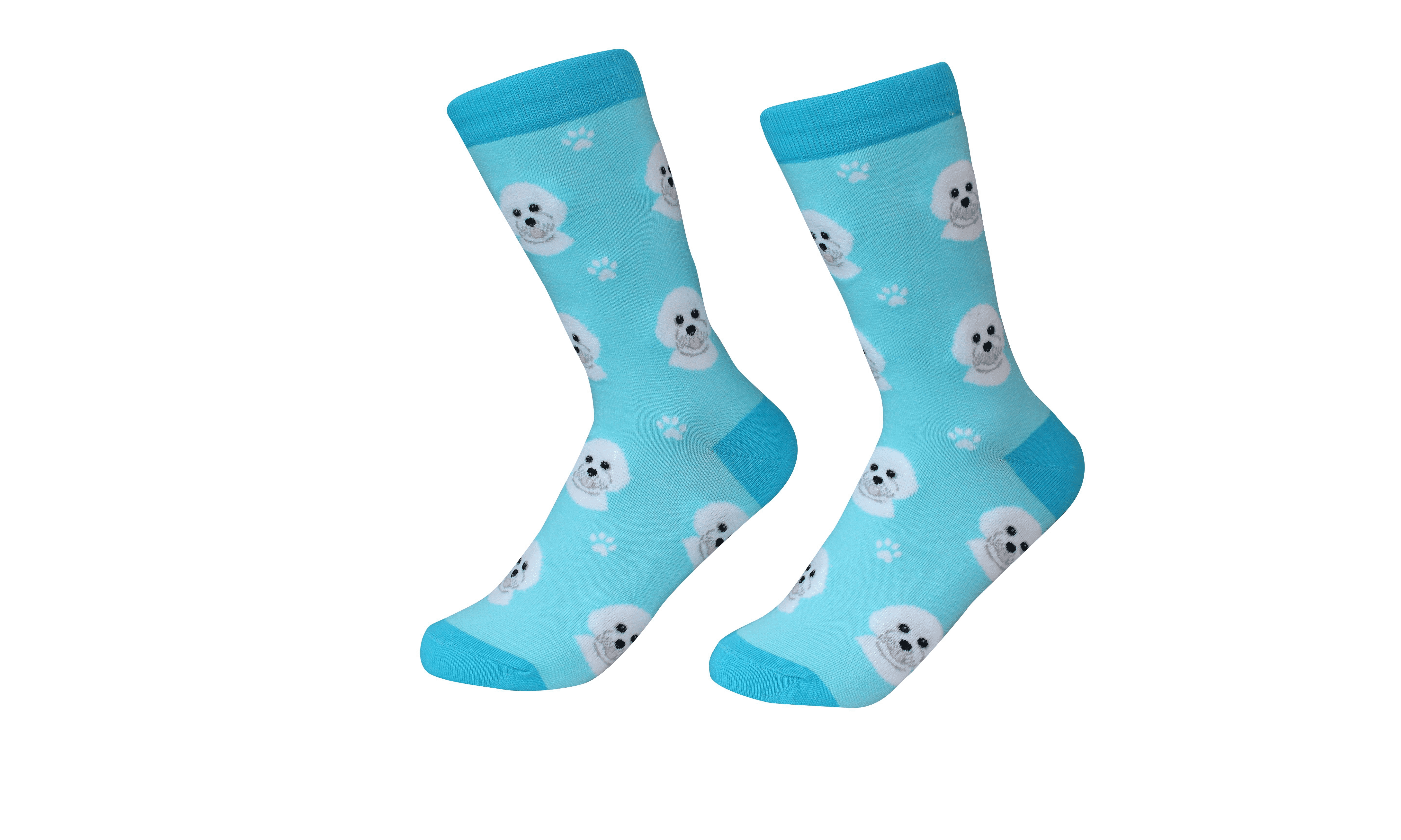 Bichon Frise Socks