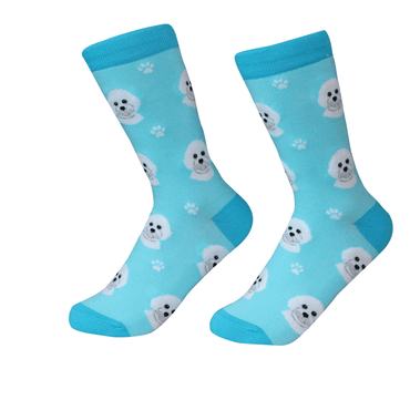 Bichon Frise Socks