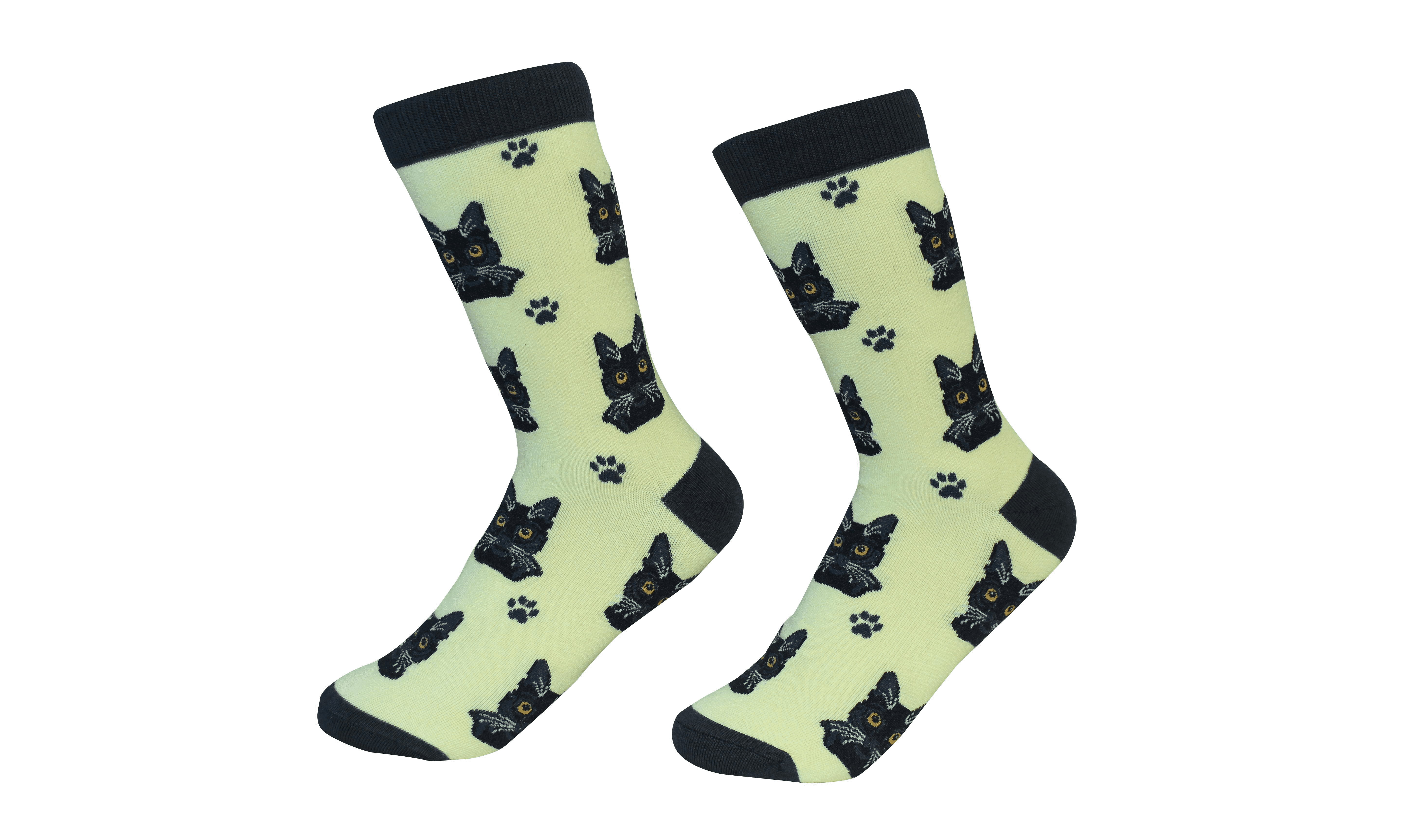 Black Cats Socks
