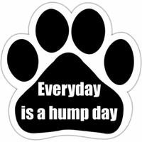 Everyday Is Hump Day Magnet