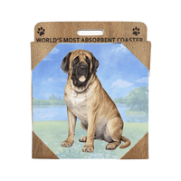 English Mastiff Coaster Sq.