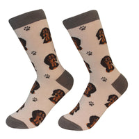 Dachshund, Black Socks