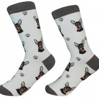 Chihuahua Black Sock